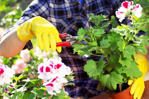 Landscaping team working ethically on a site