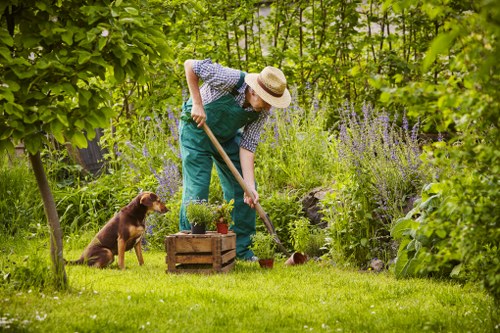 Garden design and build project planning for an Archway home
