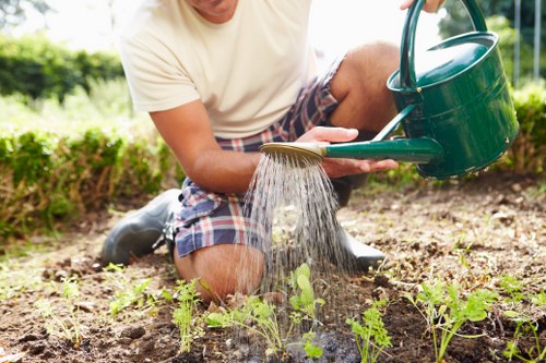 Local team working on garden landscaping in Archway