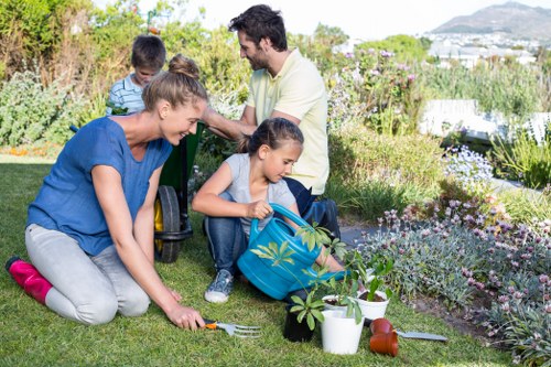 Local Archway garden redesign featuring fencing, turf and planting beds