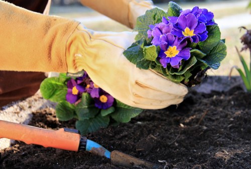Aftercare for new turf in an Archway property garden