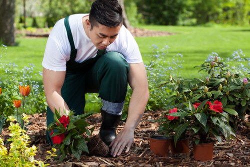 Local garden drainage planning for Archway residential and commercial spaces