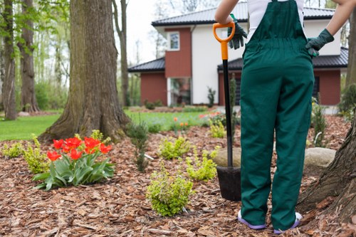 Refined outdoor landscape features enhancing property appeal